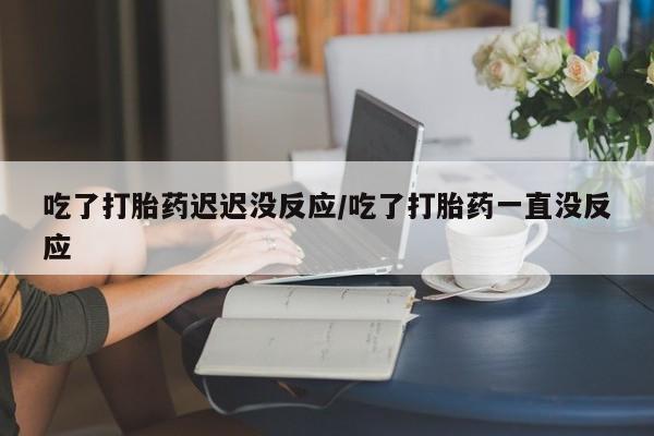 流产药怎么购买吃了打胎药迟迟没反应/吃了打胎药一直没反应
