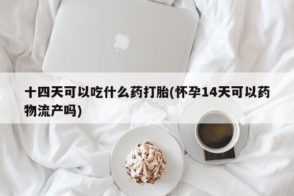流产药怎么购买十四天可以吃什么药打胎(怀孕14天可以药物流产吗)